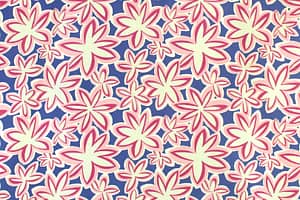 CAA1477 Blue/Pink