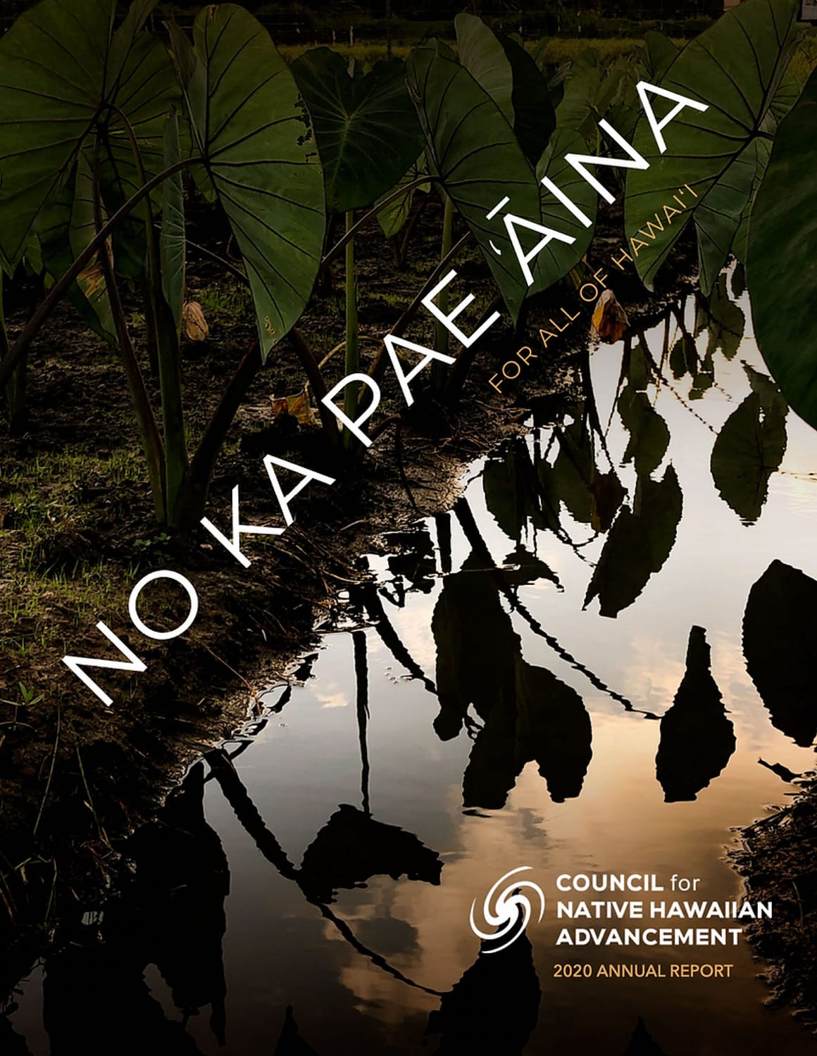 2020 Annual Report Cover