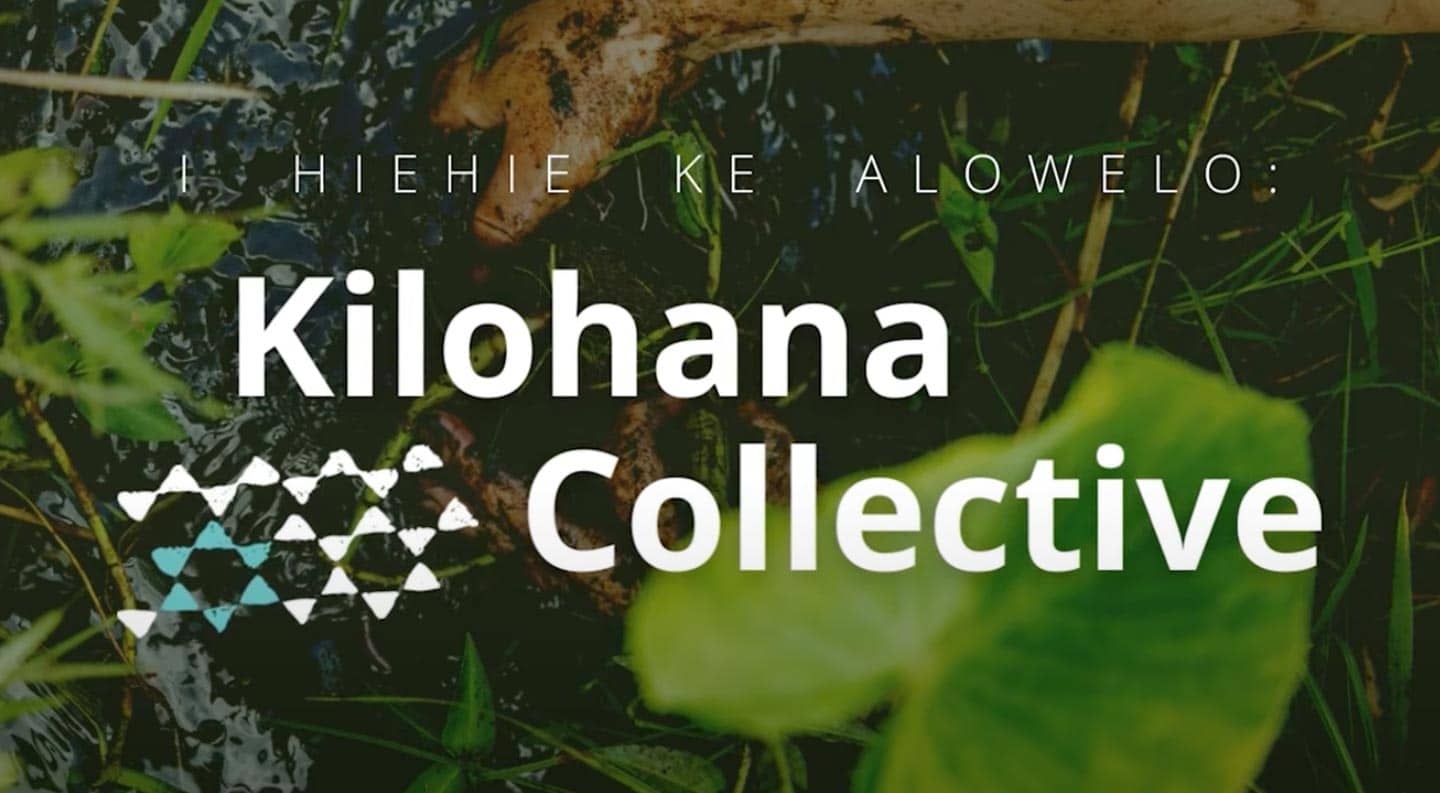 Kilohana Collective Thumbnail