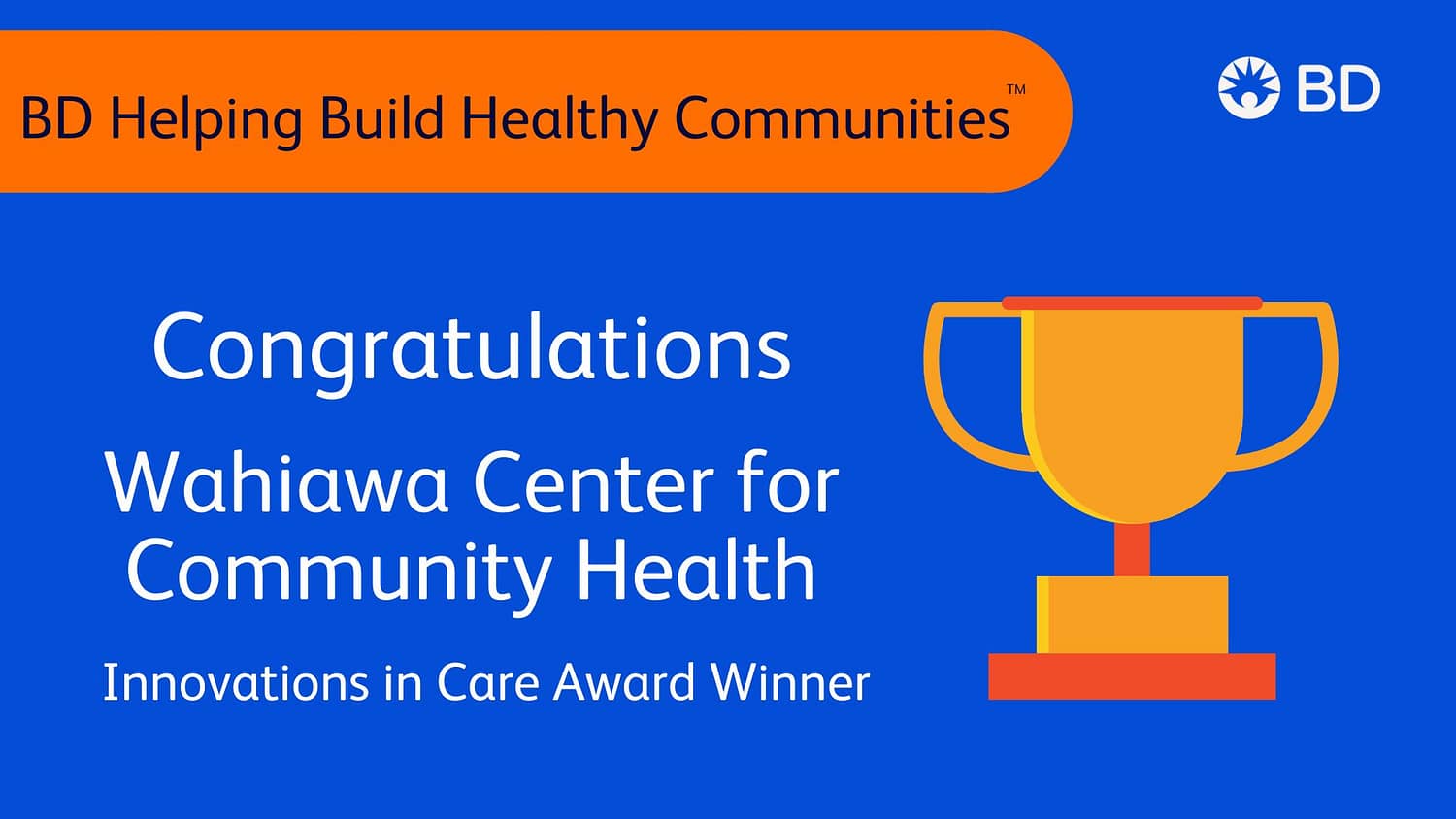 BD Helping Build Healthy Communities Program