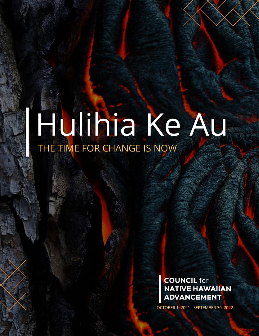 2020 Annual Report Cover