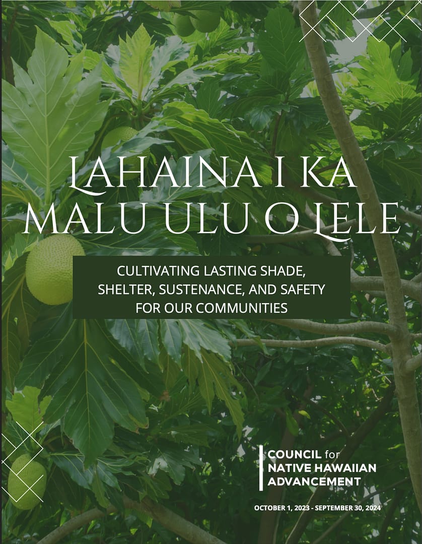 2020 Annual Report Cover