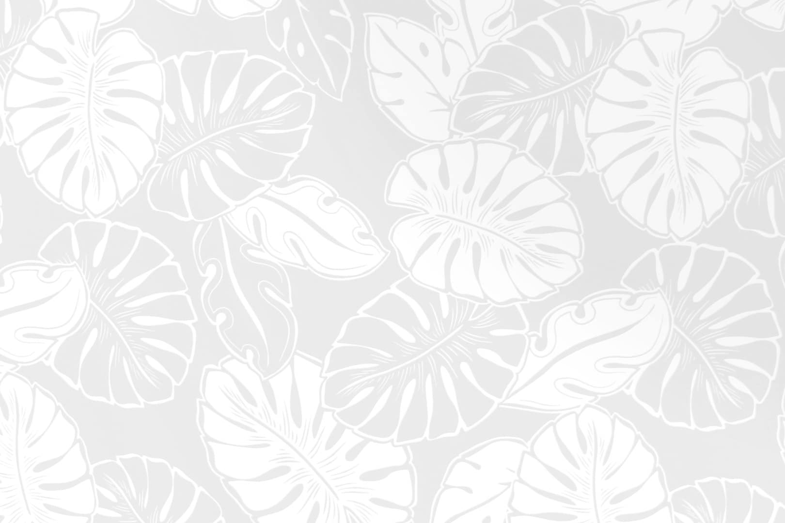 PAB1042 White/White Hawaii Fabric Mart
