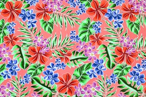 CAA1454 Coral
