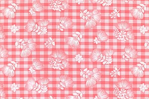CAA1477 Coral