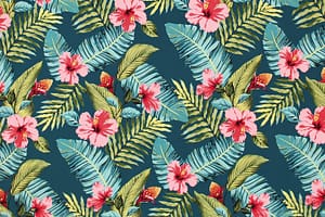 CAA1478 Teal