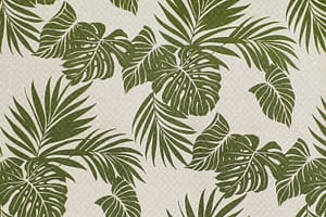 CAA1480 Olive