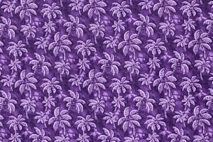 CAA1481 Purple