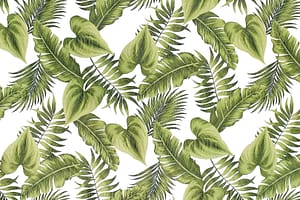 CAA1484 Green