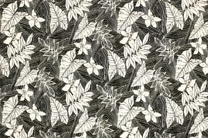 KNI0037 Black