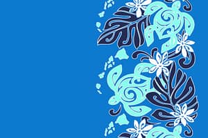 PBB2741 Blue