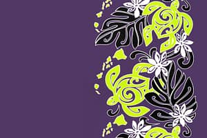 PBB2741 Purple