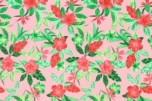 CAA1490 Pink
