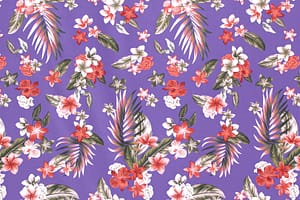 CAA1492 Purple