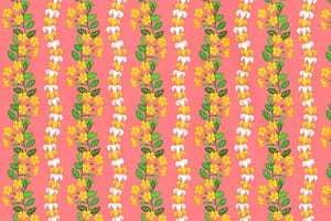 CBC0041 Coral