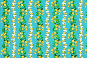 CBC0041 Teal