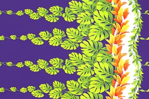 PBB2742 Purple