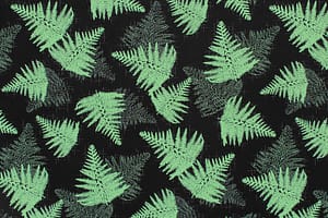 CAA1494 Black/Sage