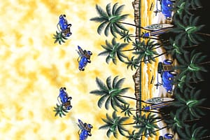 CBB0005 Maize
