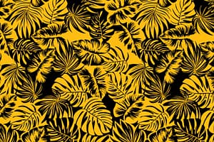 PAB1073 Black/Yellow