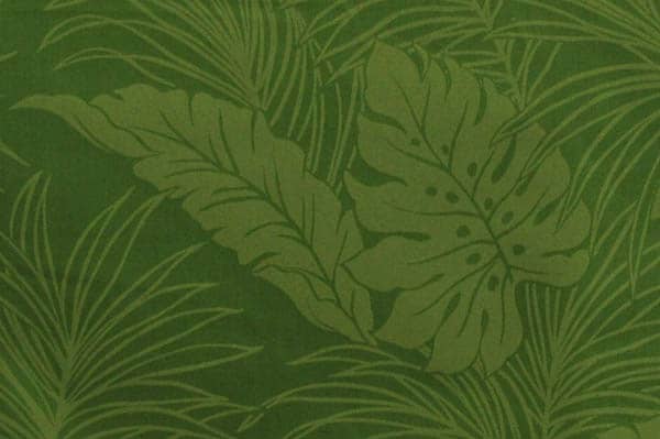 PAB0680_Fern_z