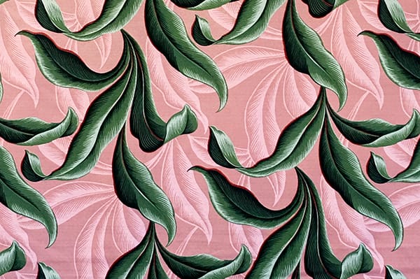 DF1652_Coral_Z