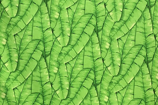 PAB0886_Lime_Z