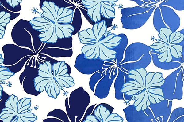 PAB0888_CreamBlue_Z