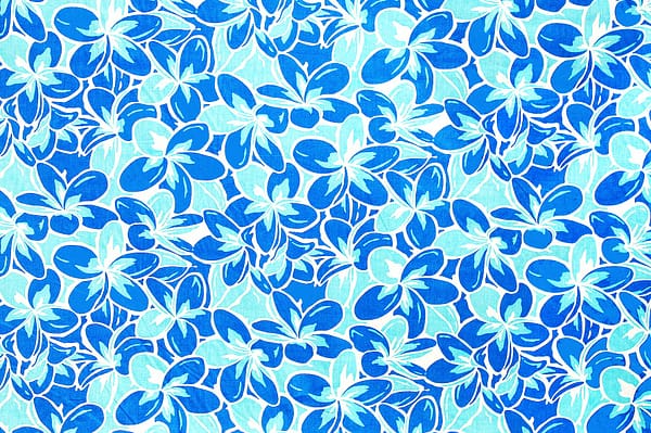 PAB0940_BlueNatural_Z