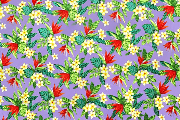 CAA1041-lavender_Z