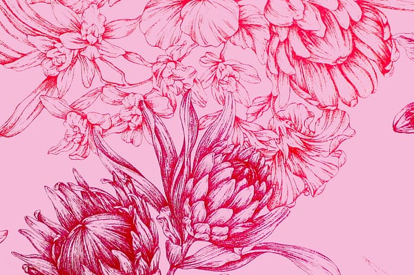 PAB0990-PinkCoral-ZZ