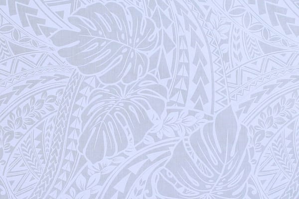 pac1448-whitewhite-zz