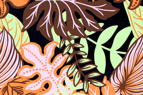 paa1282-coral-zz