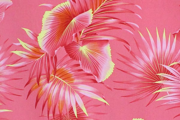 caa1388-coral-zz