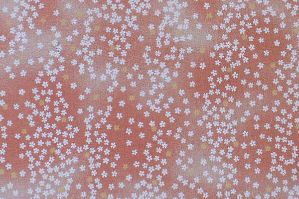 jp2637-coral-zz