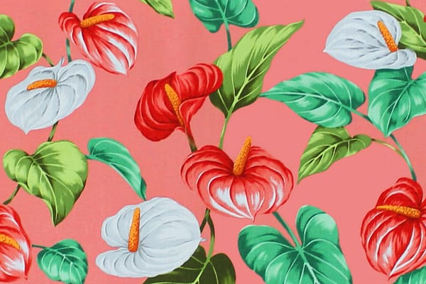 caa1410-coral-zz