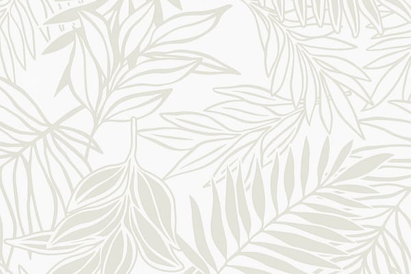 pab1056-whitewhite-zz