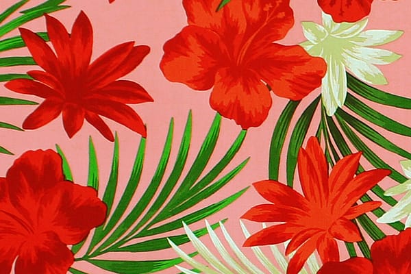 caa1453-coral-zz