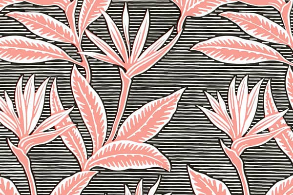 pab1062-blackcoral-zz