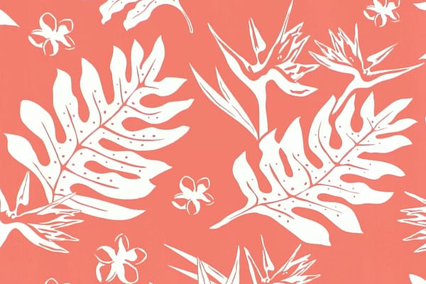 pab1065-coral-zz