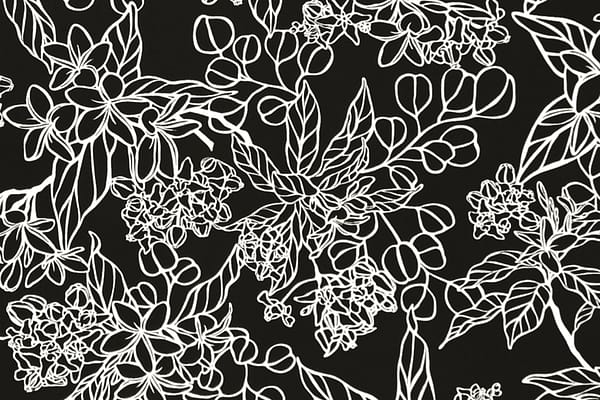 pab1067-blackcream-zz
