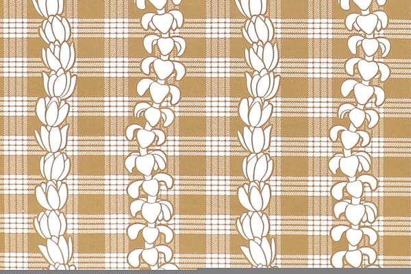 pab1069xx-coconut-zz